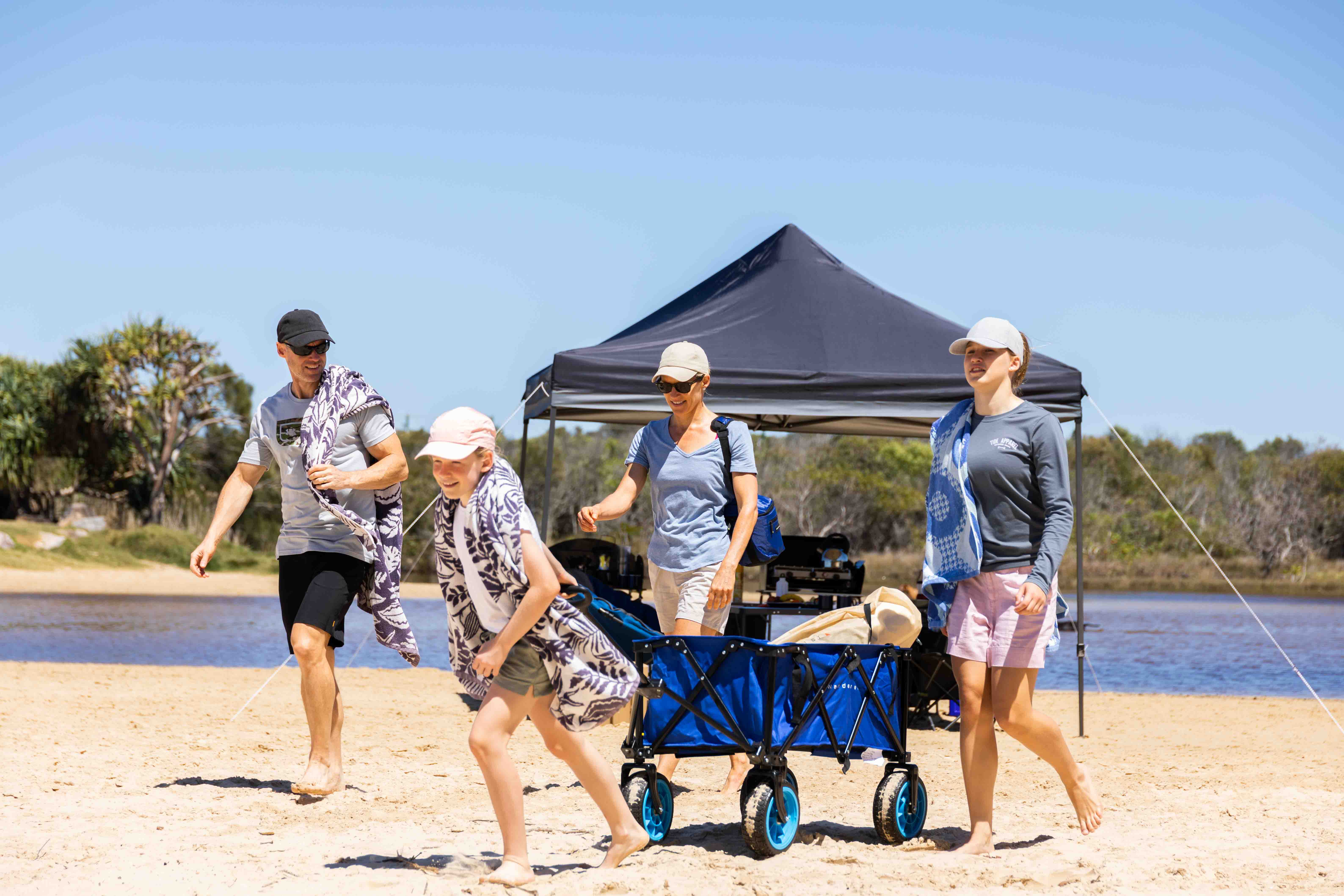 Beach Cart