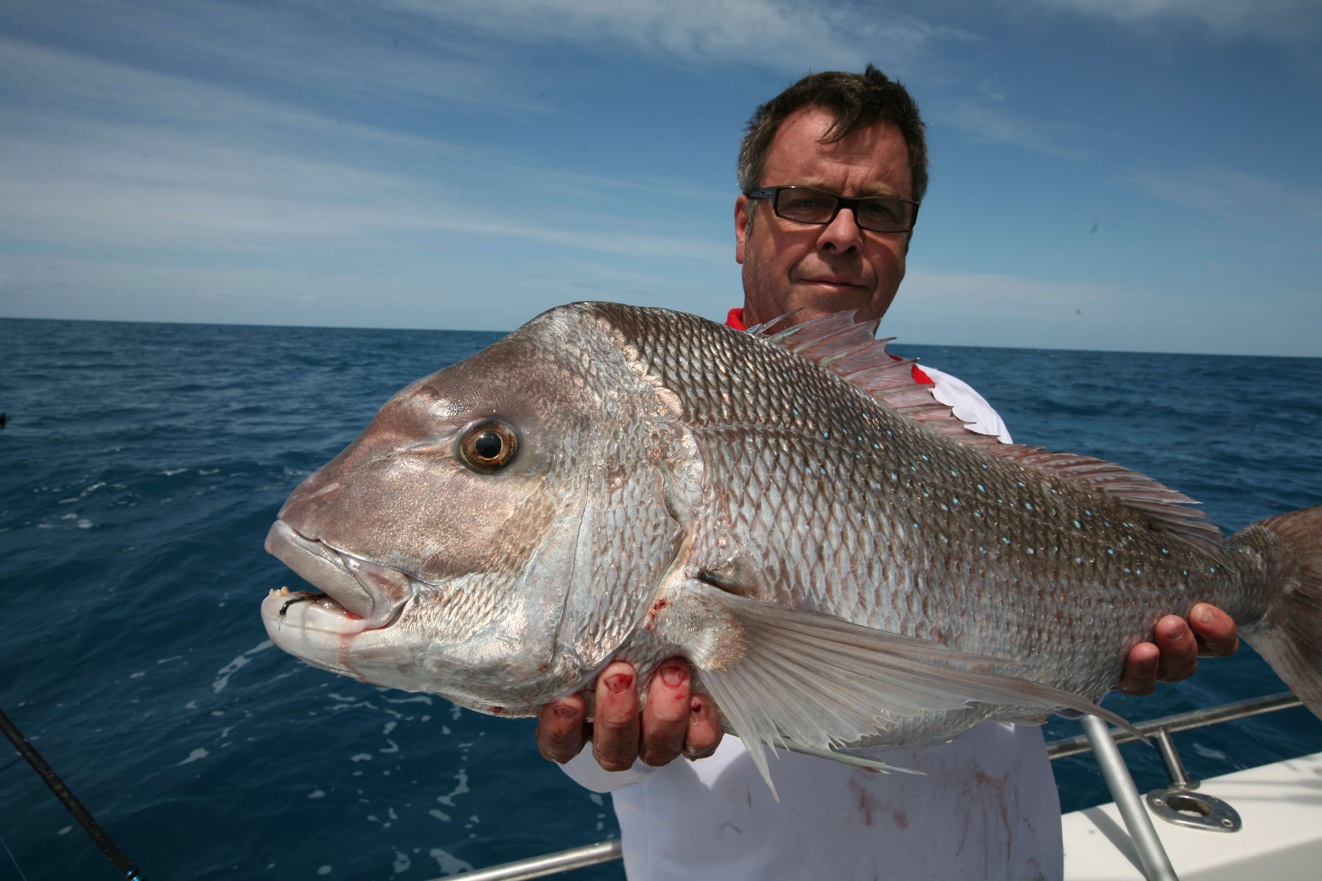 Increase Your Snapper Catch - Be A BCFing Expert