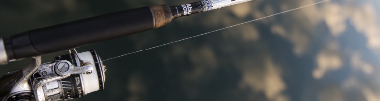 abu garcia rods for sale