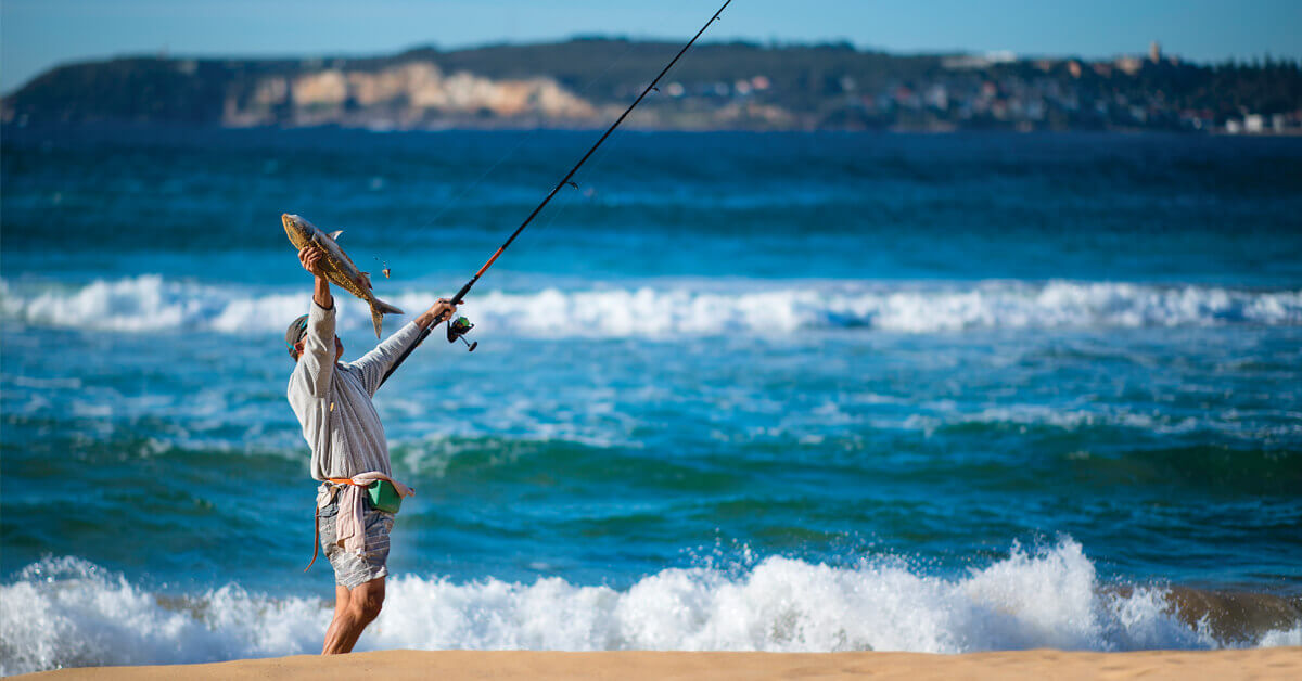 Beach Australian Salmon