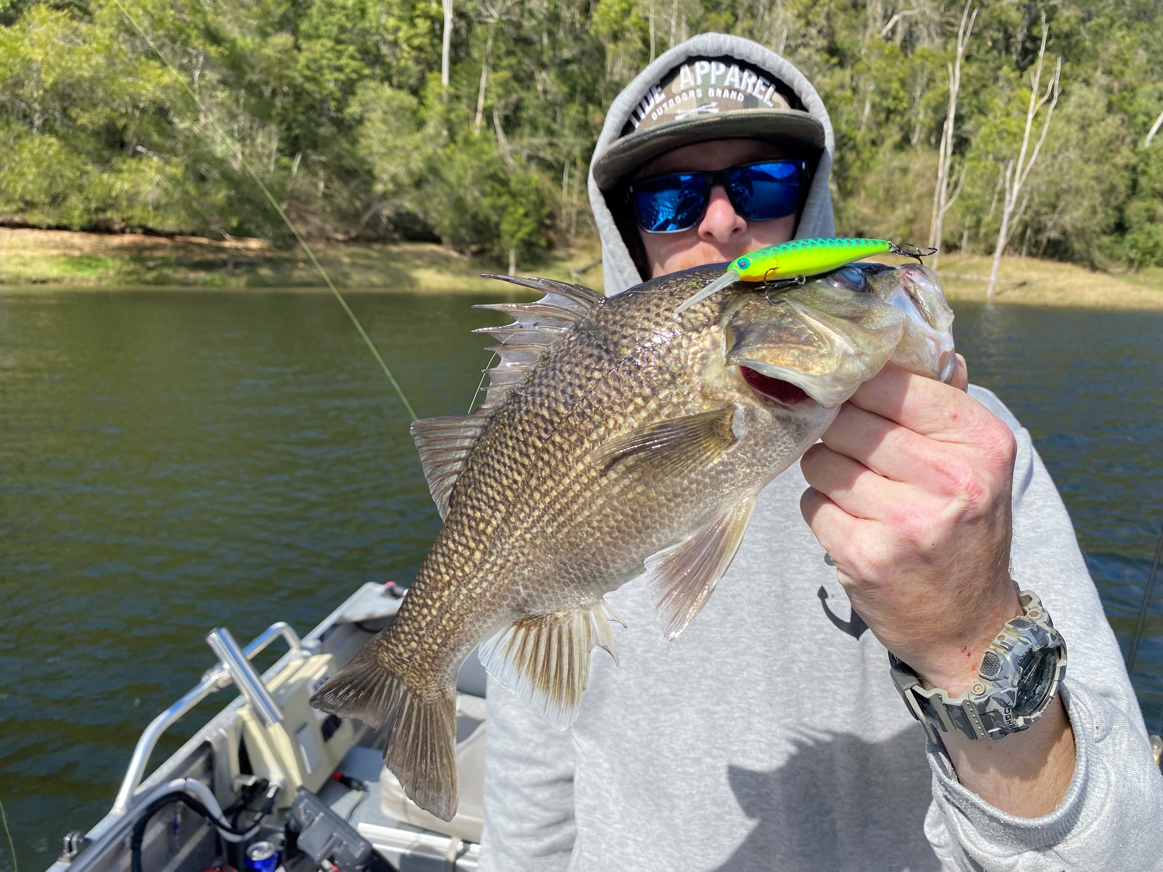 Best Lures for Catching Australian Bass - Be A BCFing Expert