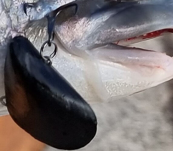 Blue Lip Baits Blue Lip Baits