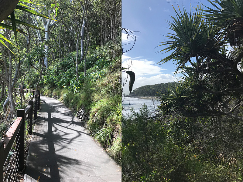 Noosa National Park, Coastal Track