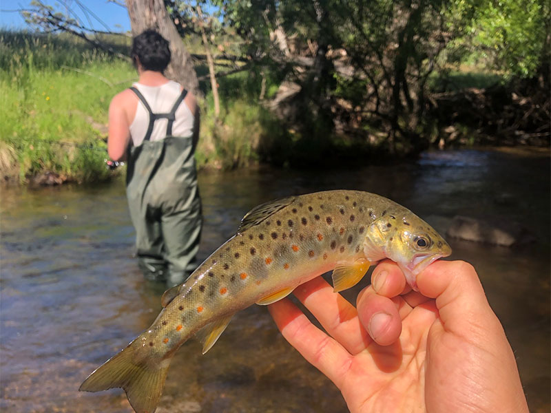 Even on the hot days, waders always come in handy