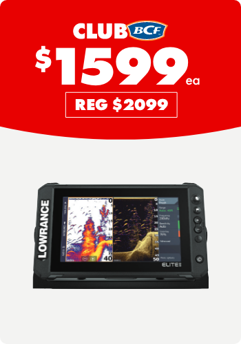 Lowrance Elite FS9 