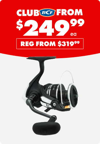 Daiwa BG MQ Spin Reels