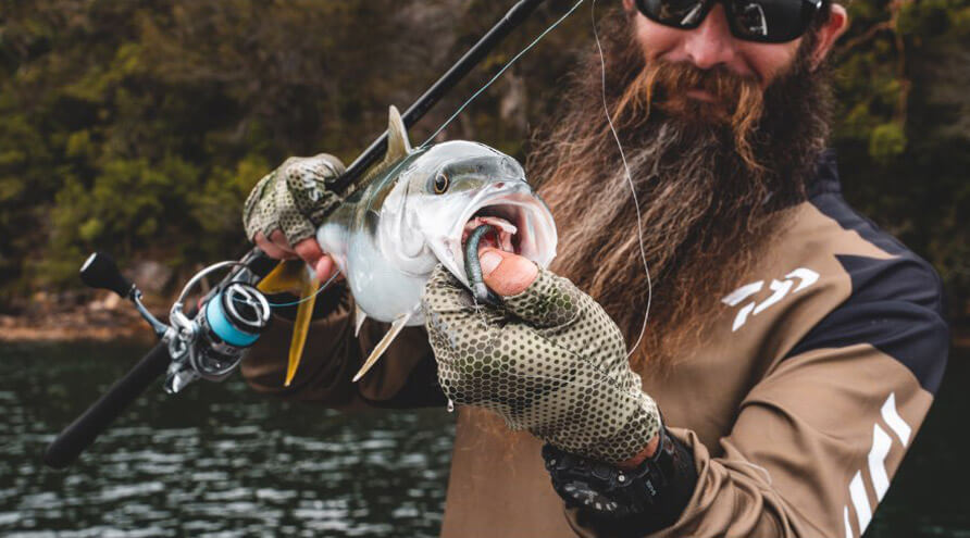 bcf fishing rod and reel combo