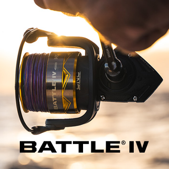 Battle IV