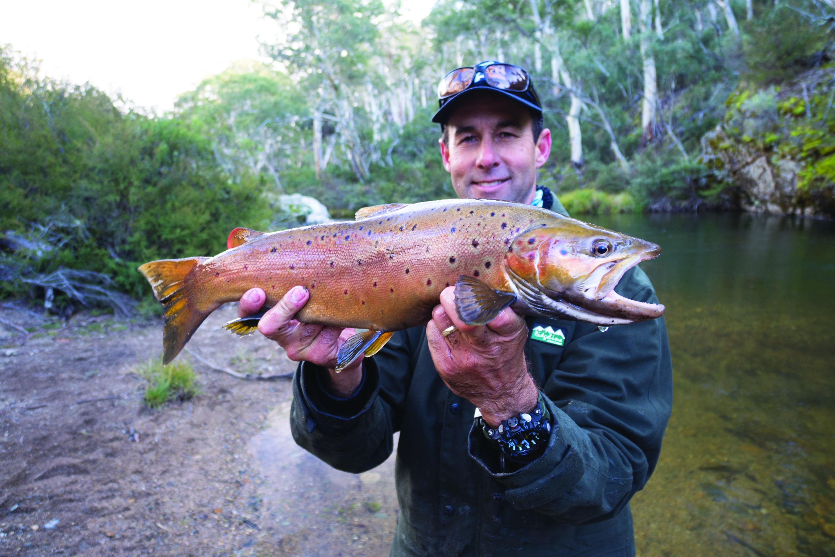 Only just maintain a tight line and watch as the line flicks and the rig bounces along the bottom. The moment that line pauses: lift!