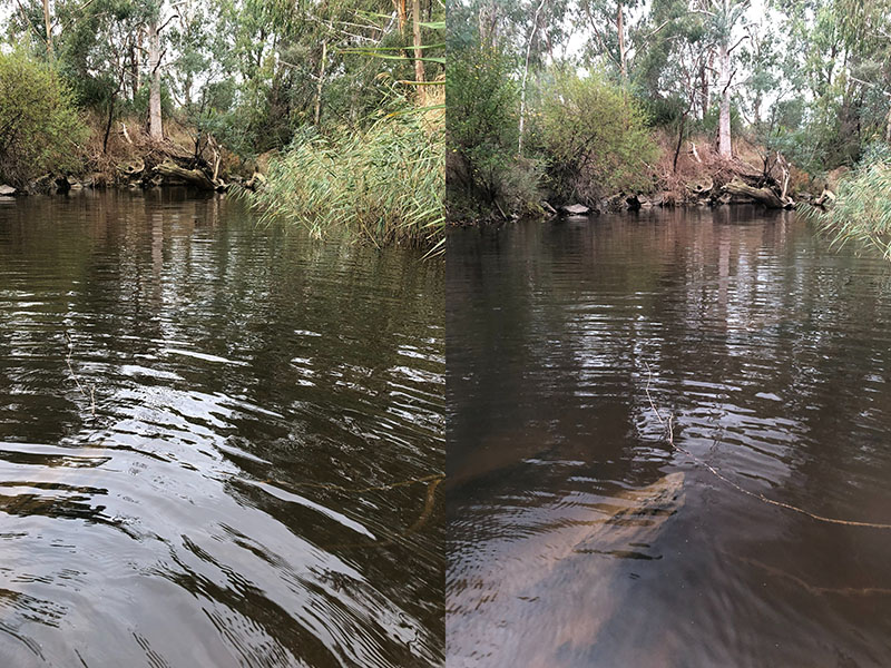 What a difference polarised sunnies make!