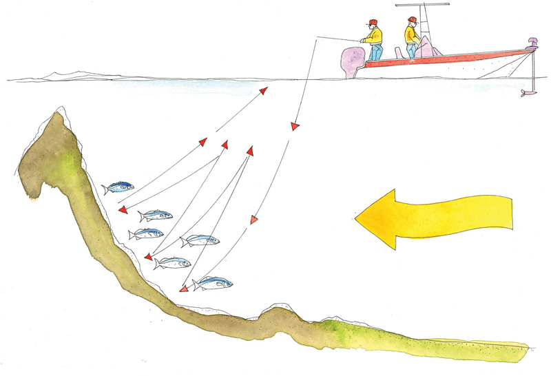 FISHING PRESSURE SIDE OF STRUCTURE ILLUSTRATION FISHING PRESSURE SIDE OF STRUCTURE ILLUSTRATION
