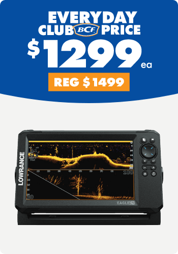 Lowrance Eagle Eye 9 Sounder Combo