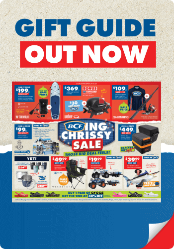 Read Gift Guide