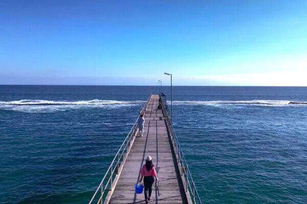 Basics of jetty fishing