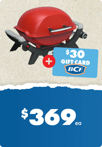 Weber Baby Q1000N BBQs
