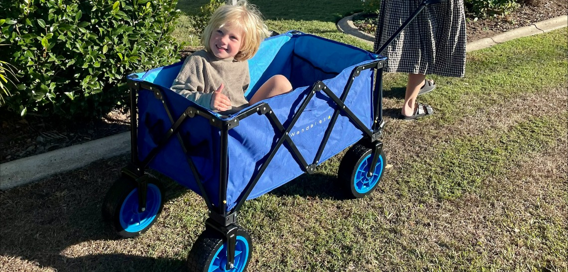 Beach Cart