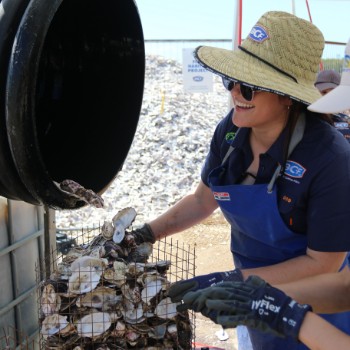 Rebuilding our lost shellfish reefs