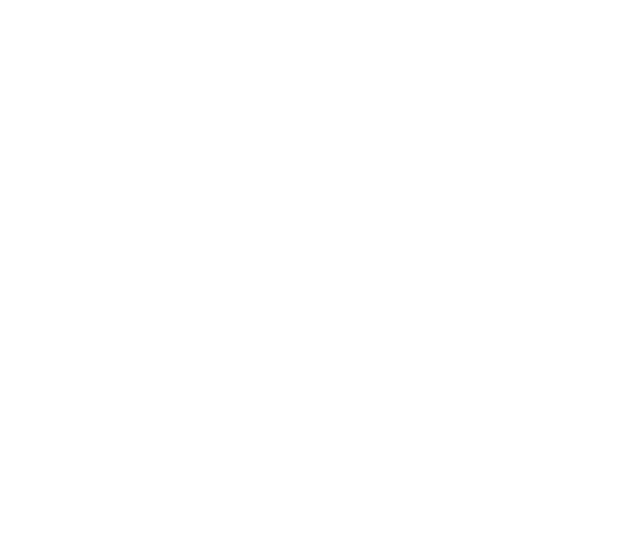 Little Fishos