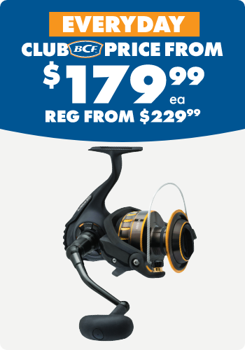 Daiwa BG Spin Reels