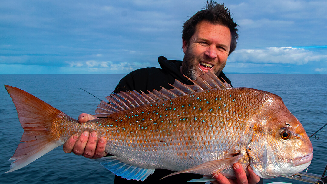 Early season Snapper are great fun