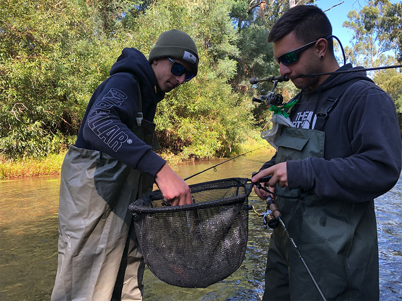 Beginners guide to trout fishing - Be A BCFing Expert