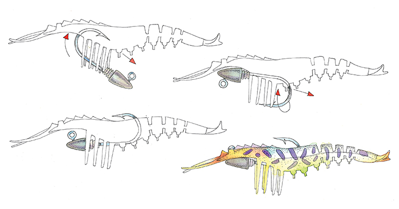 Adapting Zerek Live Cherabin ILLUSTRATION