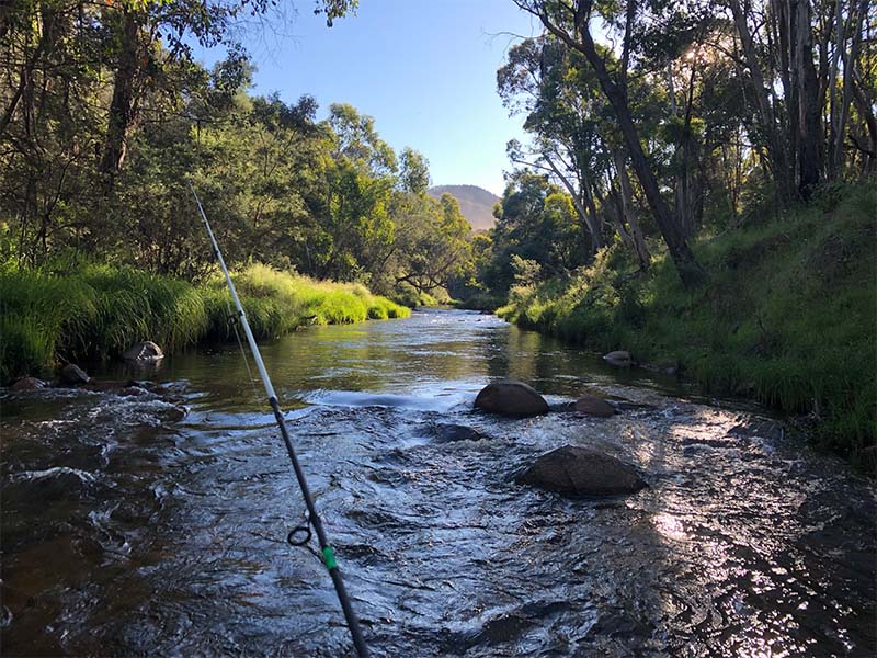 Good trout streams have a mixture of deep pools and shallow rifles