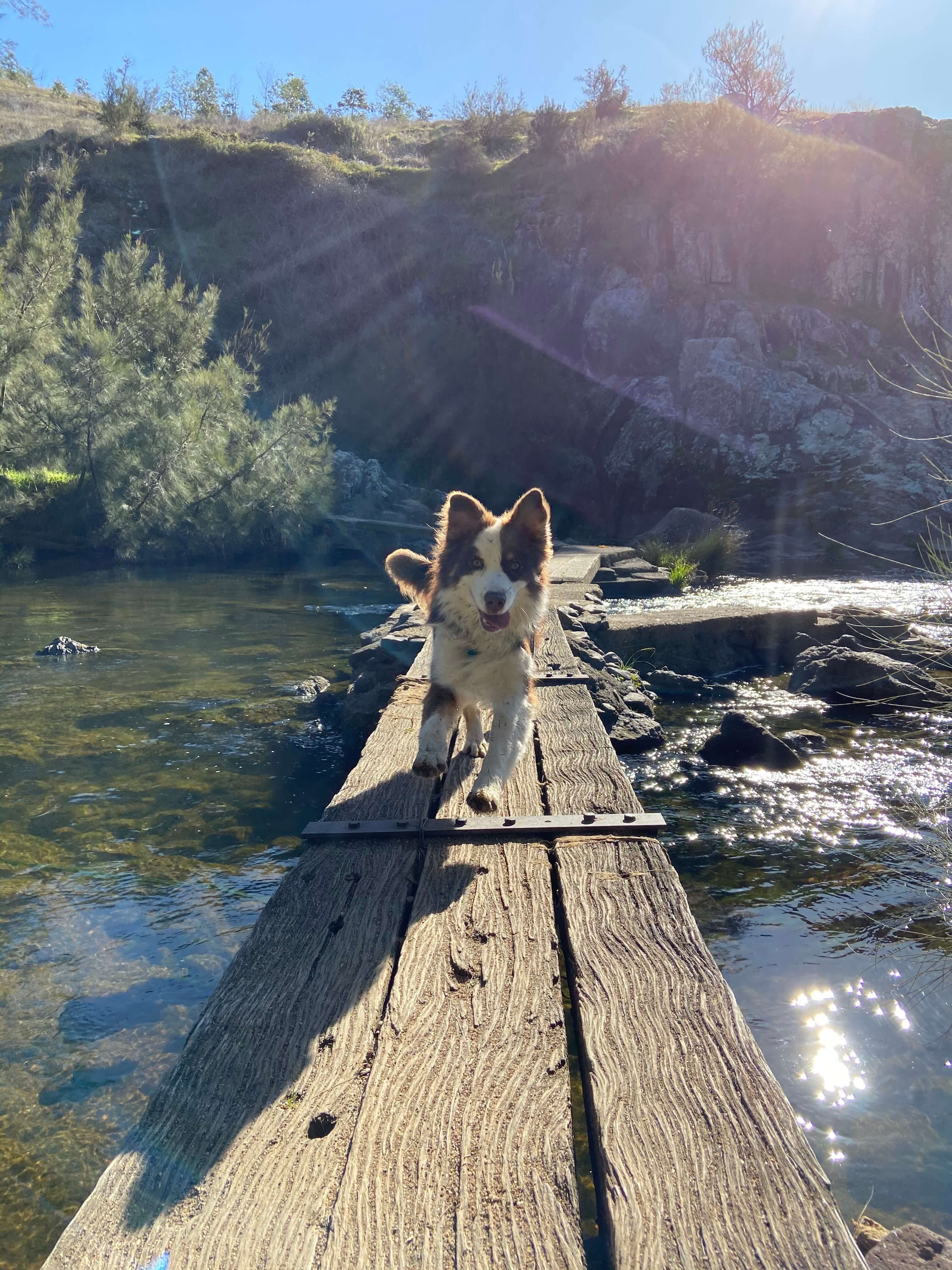 4-paw drive engaged for this river crossing