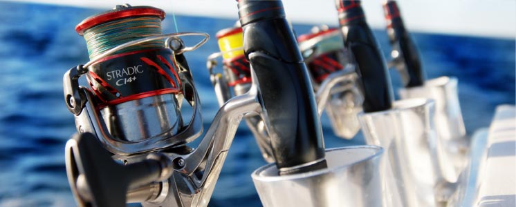 Fishing Reel Maintenance for Salt Water Reels - Be A BCFing Expert