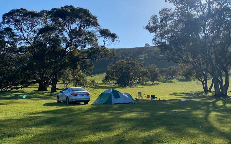 Edgehill Farms Riverton - Hills View Paddock